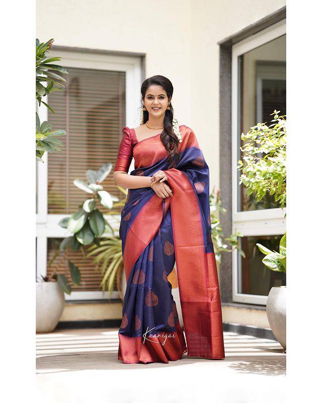 Pure Banarasi Silk Saree In Nevy Blue Color With Royal Border Pattu