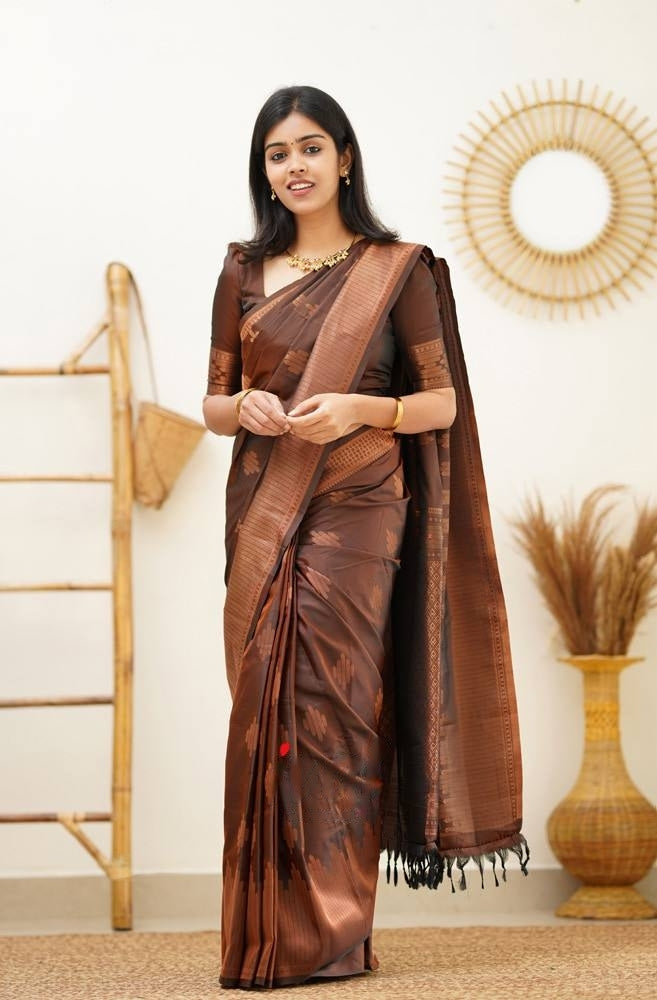 Brown Banarasi Silk Saree With Copper Border Pattu