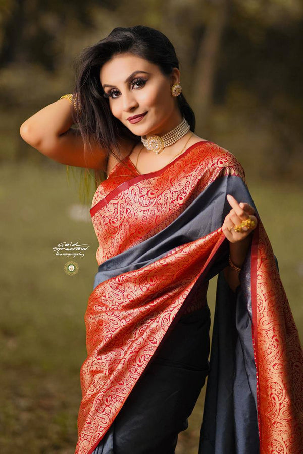 English Grey Pure Banarasi Silk Saree With Royal Golden Border