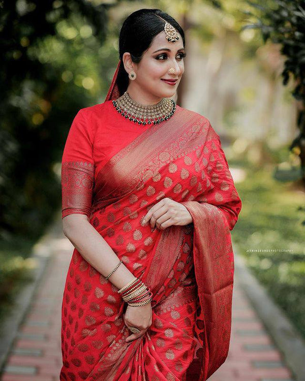 Pure Red Kanjivaram Soft Silk Saree With Royal Border Pattu