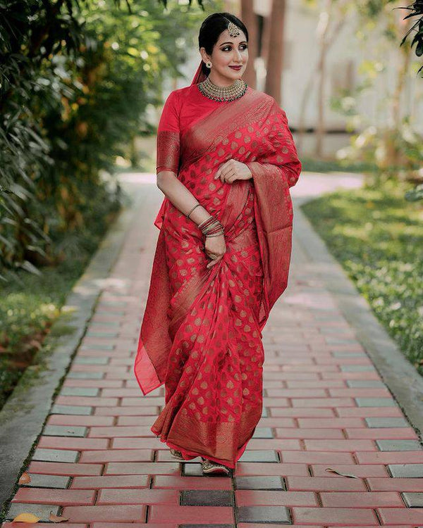 Pure Red Kanjivaram Soft Silk Saree With Royal Border Pattu