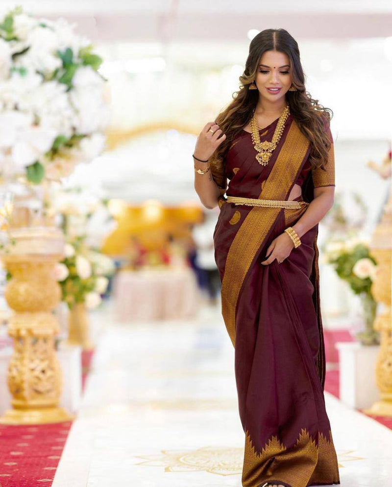 Maroon Banarasi Saree With Royal Copper Zari Border For Pure Wedding Look